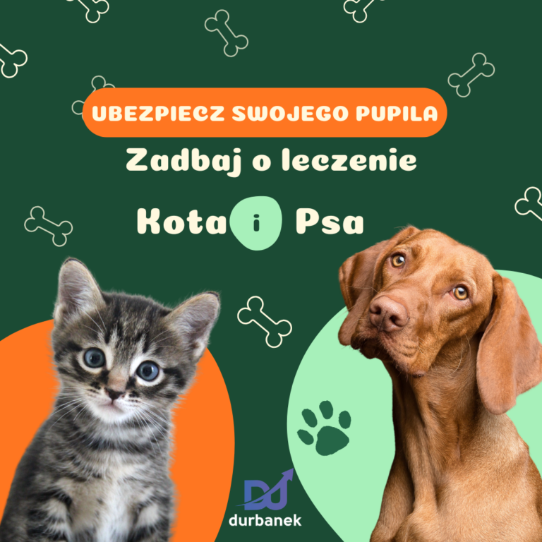 Ubezpieczenie psa i kota – fanaberia czy naprawdę dobra decyzja?